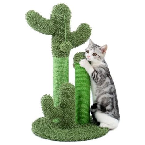 Arbre à chat en forme de cactus mignon avec jouets à balles, poteaux à gratter pour chats, chaton, arbre à grimper, jouet pour chat, protège les meubles
