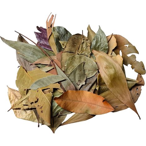 Mix di foglie BioThai - Mix di foglie dalla Thailandia 20 g (1/5)