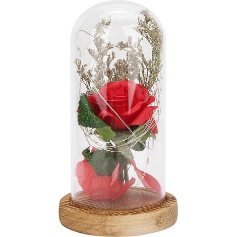 Veilleuse LED en forme de rose, socle en bois et couvercle en verre, fleur artificielle en plastique, blanc chaud, cadeau d'anniversaire ou de Saint-Valentin (1/5)
