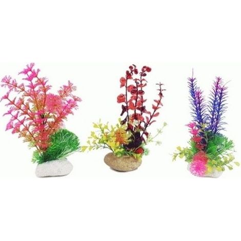 PLANTA ROCK 20 cm.