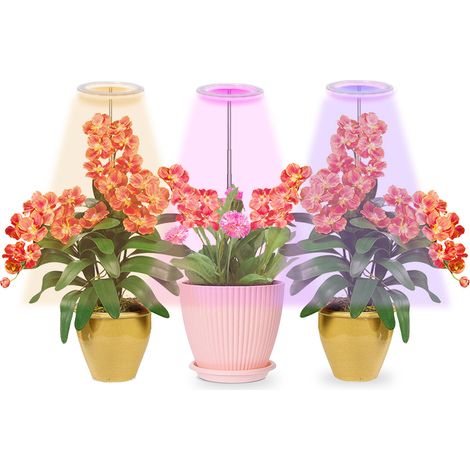 Lampe de croissance LED à spectre complet pour plantes d'intérieur, idéale pour la croissance végétative et la floraison.