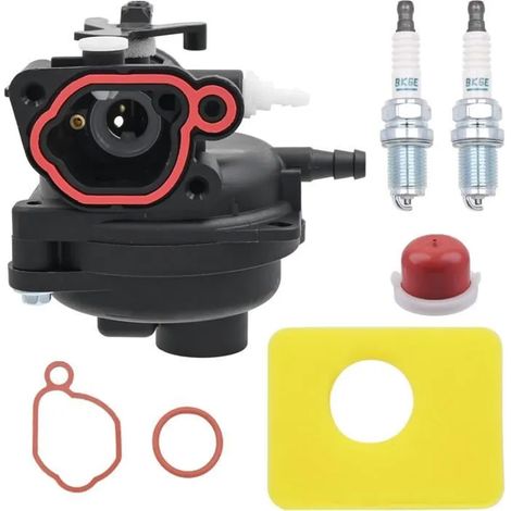 Carburateur tondeuse Briggs & Stratton 300E, 450E, 500E, remplace plusieurs références. (1/5)