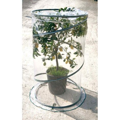 serra per pianta verdemax "pop up citrus" 90x150 cm (1/5)