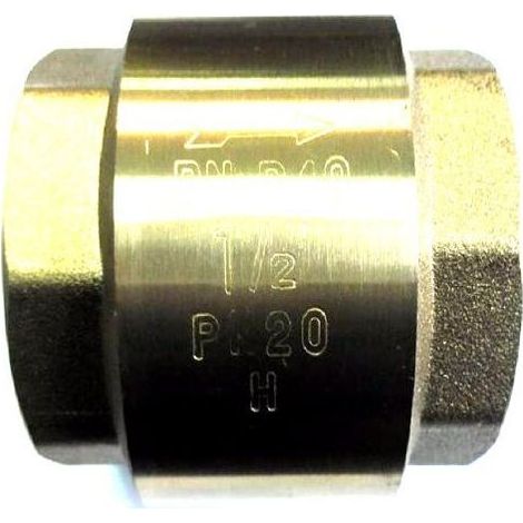 Vanne clapet no-name 6 4 pouce prévention reflux corrosion
