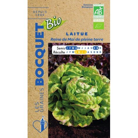 Laitue de printemps Reine de Mai Bio- certifiée ECOCERT FR-BIO-01 - 3g