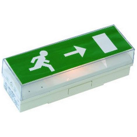 Luminox LUM10102 E - STD 65 C Standard Withdrawable Standalone EVACUATION Block
