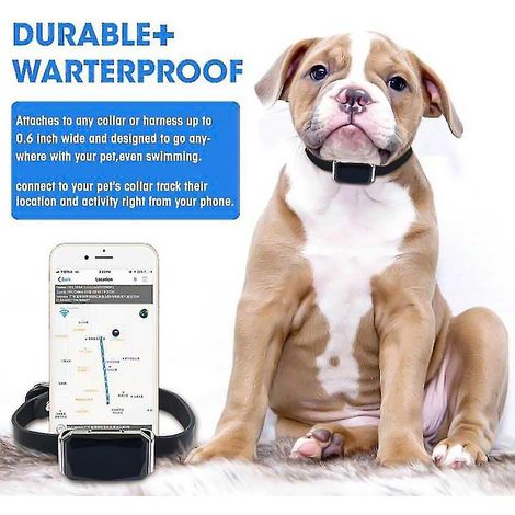 Collier GPS intelligent pour animaux de compagnie avec suivi multifonction (1/5)