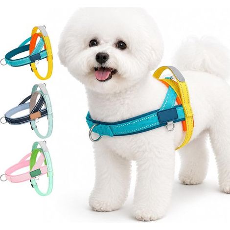 Harnais anti-traction pour chien - Bleu/Jaune - Harnais en T réglable, taille M - avec poignée (1/5)