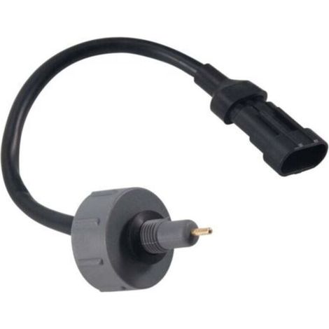 319213A810 pour 03-05 04-10 Carens 05-06 Capteur D'Eau de Filtre à