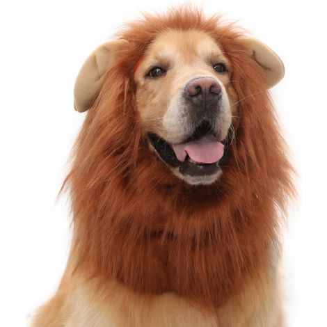 Déguisement lion pour animaux marron L x 3 modèle 15