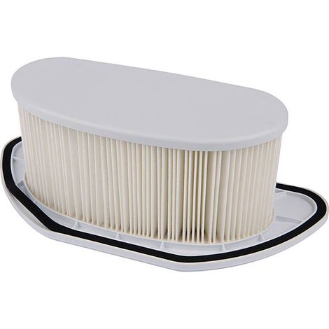 FILTRO PER BIDONE ASPIRAPOLVERE per modello VC3211H