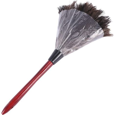 Brosse de nettoyage en poils de chameau, brosse à dépoussiérer à poils doux, adaptée au nettoyage des meubles, des pales de ventilateur et du matériel photographique. (1/5)