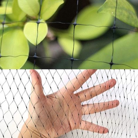 LYERCW - Filet anti-oiseaux noir pour volière et potager - Perfet - 4 x 10 m