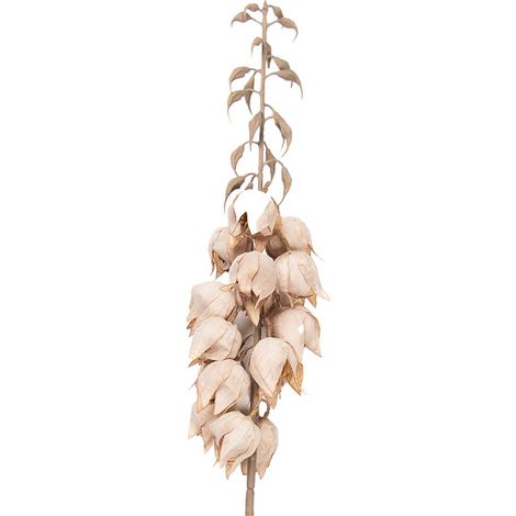 Branche décorative de fleur artificielle beige en plastique 100 cm pour vase et étagère - PANGIVO (1/2)