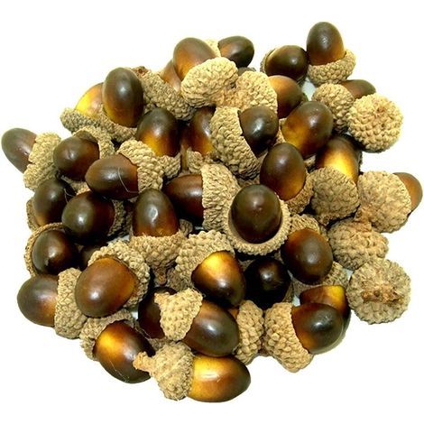 Decoración realista de bellotas artificiales, fruta falsa para la decoración del hogar y la cocina, decoración navideña, decoración de mesa otoñal, manualidades, 50 piezas (marrón oscuro) (1/5)