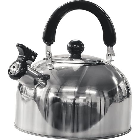 Bouilloire de 2 litres, compatible avec les cuisinières à gaz et les plaques à induction dimensions : 23 × 18,7 cm, couleur argent, parois épaisses