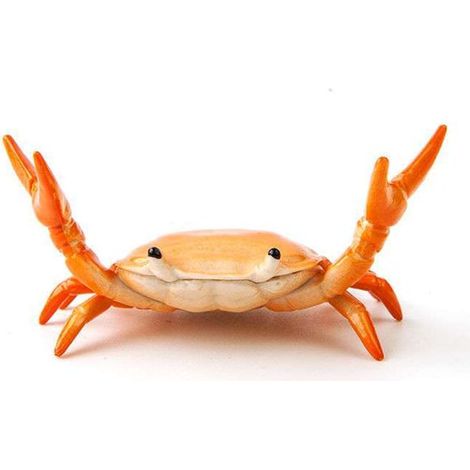 Kreativer, niedlicher Krabben-Stiftehalter für Gewichtheben, Krabben-Stiftehalterständer, Aufbewahrungsregal, Geschenk-Schreibwaren (orange) (1/5)