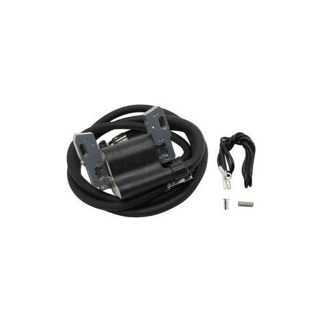 S-giant Bobine d'allumage haute tension compatible avec 16-18 HP 590781 392329 394891 394988 (1/5)