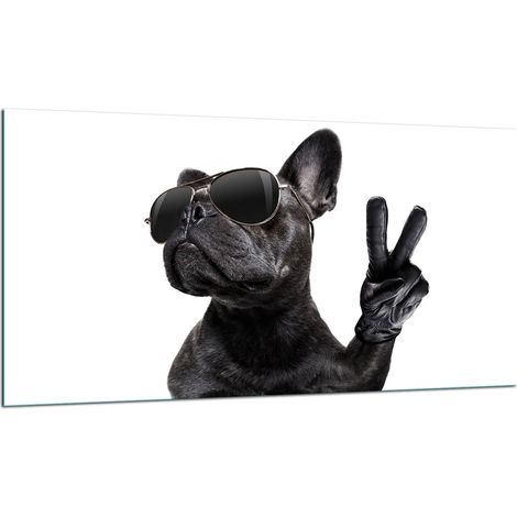 GLASSCHUTZPLATTE FÜR HERD 90X52 DOG (1/5)