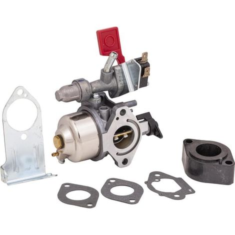Carburateur BRIGGS ET STRATTON 84004885