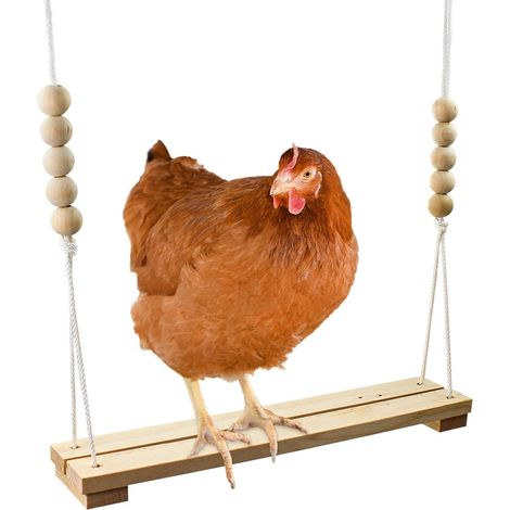 Jouet à suspendre en bois naturel pour poulailler, perchoir, échelle durable pour poulet, oiseau (1/5)