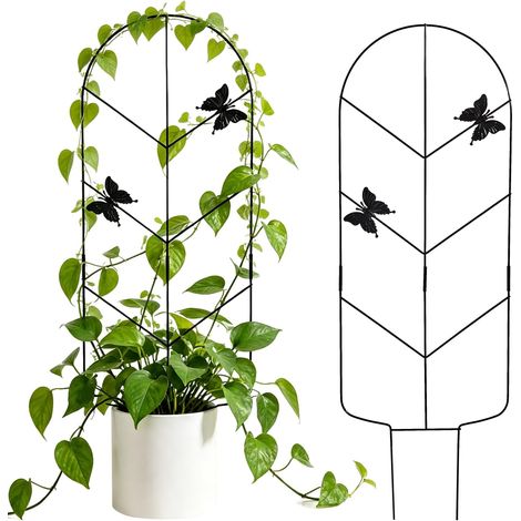 Lot de 2 tuteurs grimpants (79 cm) pour plantes d'intérieur – Treillis de jardin en métal inoxydable pour plantes en pot support robuste et durable pour plantes grimpantes telles que le lierre (1/5)