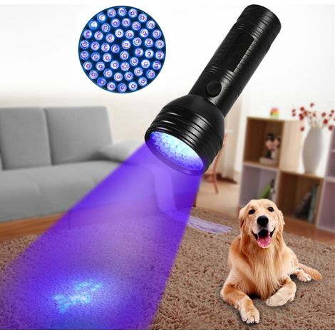 Détecteur d'urine pour animaux de compagnie lumière portable UV lumière noire lampe de poche Portable chien chat urine tapis Detec (1/5)