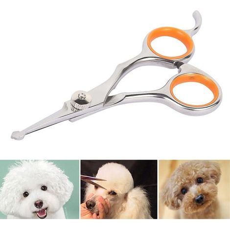 Ciseaux pour Chien Acier Inoxydable Tranchant 13×5.5×0.5cm Ciseaux Toilettage Chien Professionnel pour Chats Chiens et Autres Animaux de Compagnie