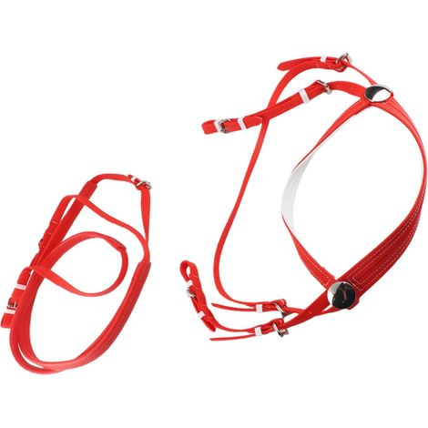 Licol et bride avec rêne pour cheval en PVC cuir PU nylon - accessoires d'équitation (1/5)