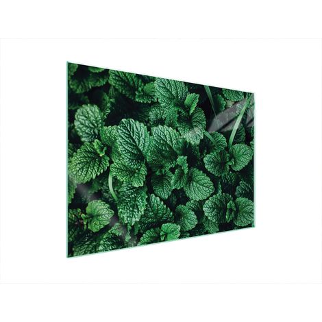 PLACA PROTECTORA DE VIDRIO PARA ESTUFA 70x52 MELISA (1/5)