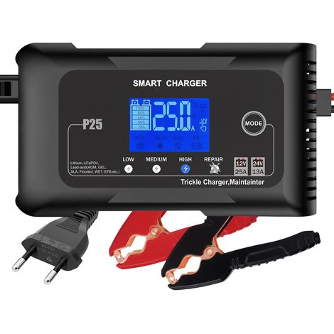 Chargeur de batterie de voiture 25 A, 12 V, 24 V, chargeur de maintenance et désulfuration, convient pour lithium, LiFePO4, acide plomb (AGM, gel, EFB, MF), motos, voitures, bateaux (1/5)