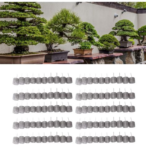 Boîte à engrais en jade pour bonsaï (100 pièces), panier à engrais en acier inoxydable avec colonne, outil pour nutriments, grande taille (1/5)