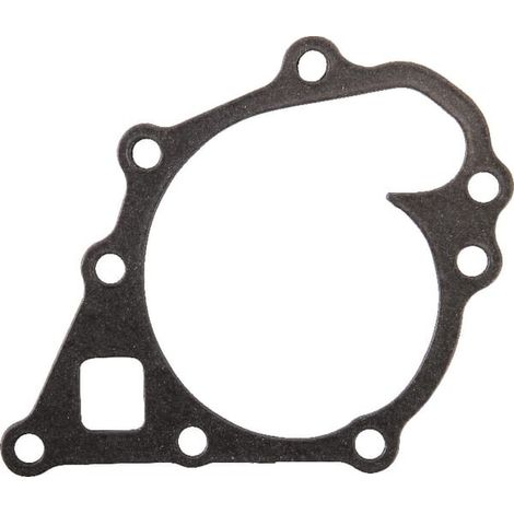 Guarnizione pompa acqua ETESIA ET34396