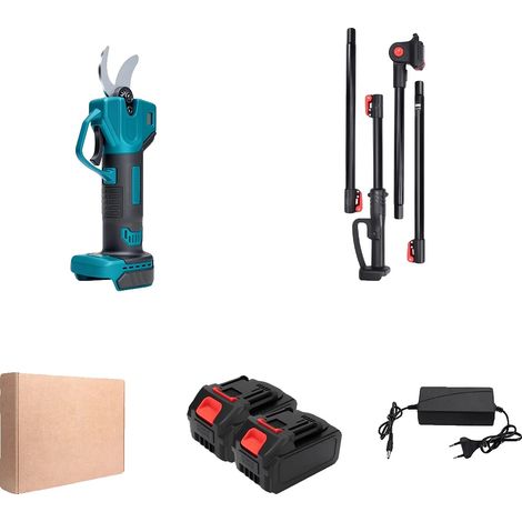 Sécateurs électriques sans fil, moteur sans balais, perche en aluminium, 2 Batterie, UE (1/2)