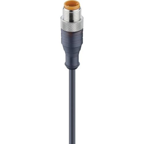 Connecteur confectionné pour capteurs/actionneurs M12 Lumberg Automation RST 8-282/2 M 47076-1 mâle, droit 2.00 m Nombr (1/2)