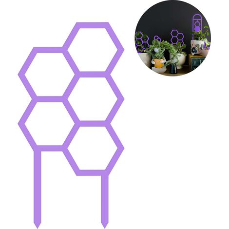 Tuteur pour Plantes Potagères en Acrylic Purple 6 Formes (3mm) [22-27cm] Élévation Stable & Décorative (1/5)