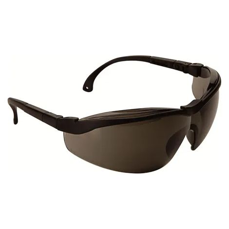 Schutzbrille climax 595 leicht stoßfest