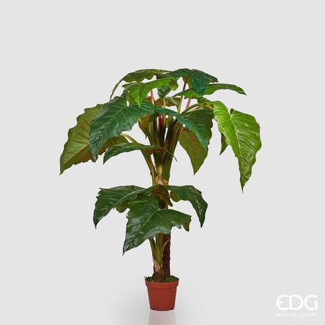 EDG Enzo De Gasperi Alocasia Chic con Vaso Artificiale H 196 Cm Green