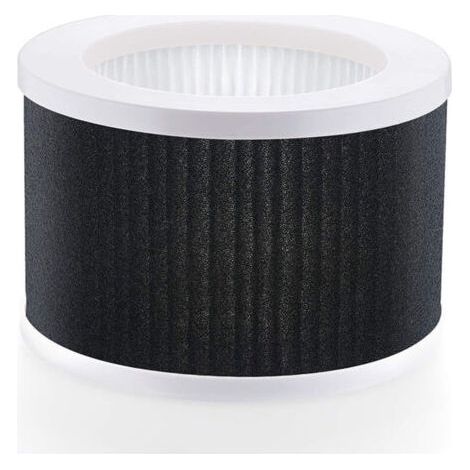 Lntyq Filtre de remplacement True HEPA EPI810, compatible uniquement avec l'ancienne version MEGAWISE (non compatible avec la version mise à jour 2022), purificateur d'air True HEPA KOIOS et (1/5)