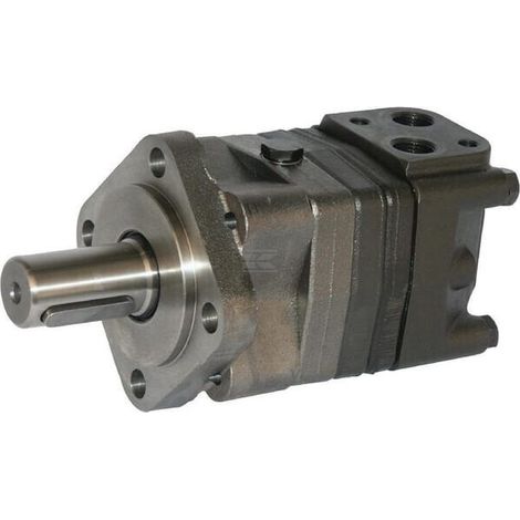 Motor orbital OMS100 WHITE OMS100151F2201 (1/4)