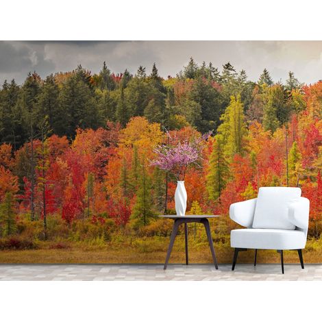 Papier peint paysage foret en feuilles rouges dautomne - 150 x 250 cm (1/2)