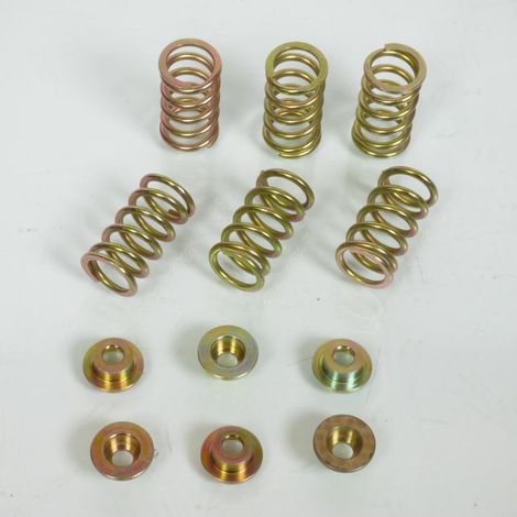 kupplungsfeder für motorrad ducati 1000 monster s2r 2006 bis 2008 (1/3)