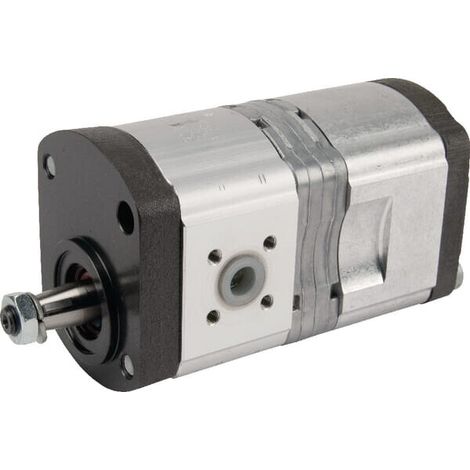 Pompa ad ingranaggi AZPFF-11-008/008LCN2020PX-S0585 Bosch Rexroth BOSCH REXROTH 0510465340 (1/2)