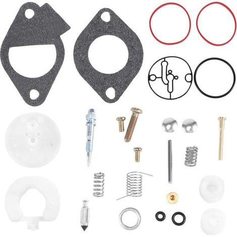 Kit De Réparation Carburateur Tondeuse Gazon Briggs Stratton 11HP 19HP 796184 (1/4)
