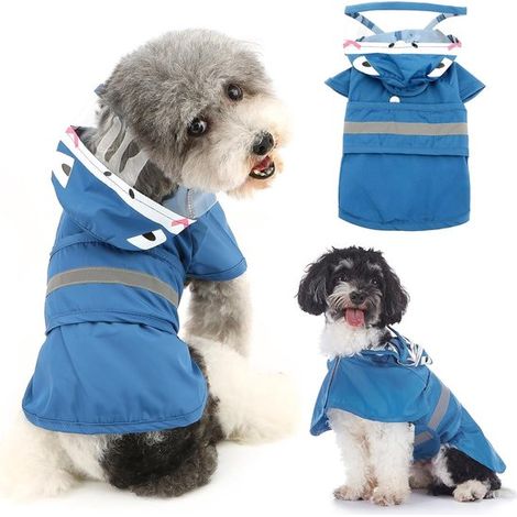 Imperméable pour animaux - Imperméable mignon pour chien - Poncho bleu - transparent (1/5)