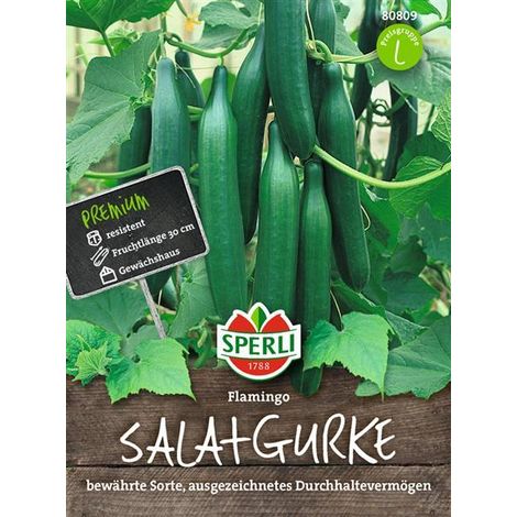Sperli Salatgurken Flamingo F1 - Gemüsesamen (1/4)