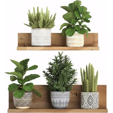 Autocollant mural 3D amovible en PVC Bonsaï Décoration murale créative Plantes Vertes Florales Arbre BonsaïStickers Muraux Plante Tropical Autocollants Décoration Murale pour Salon Chambre Cuisine (1/5)
