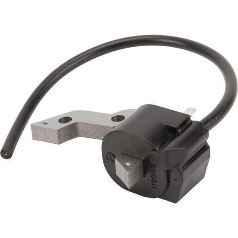 Bobine d'allumage BRIGGS ET STRATTON 711197WM