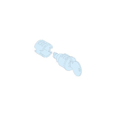 PrismaSeT Active - Barillet IP55 - 2 clés 2433 A - LVS09933