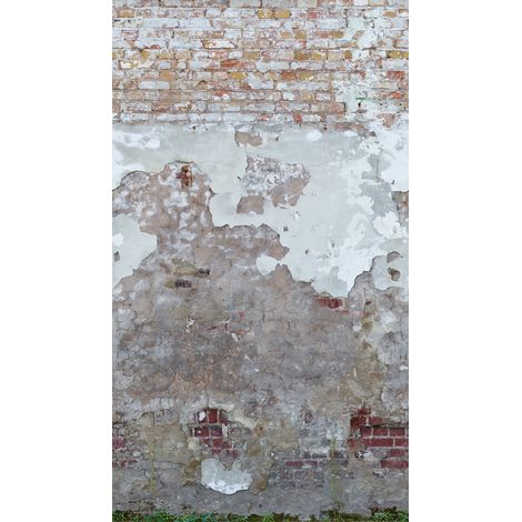 BRICOFLOR Papier peint The Wall II 392341 (1/3)